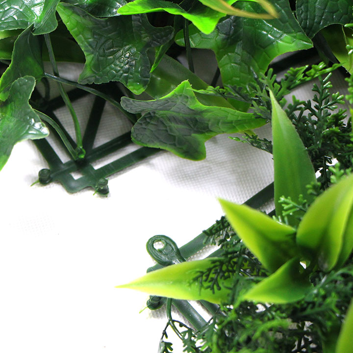 ����ֲ�ƴ��