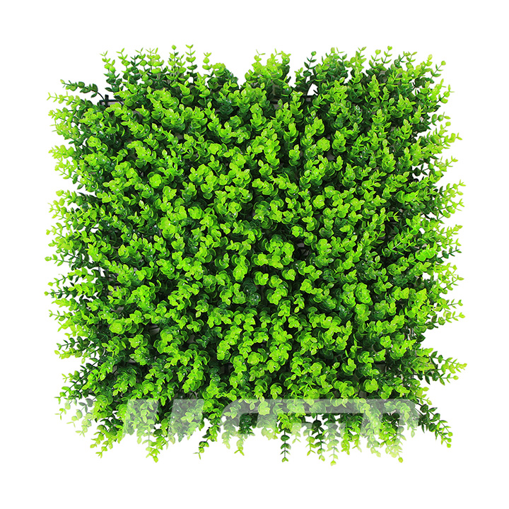 ����ֲ����X�~