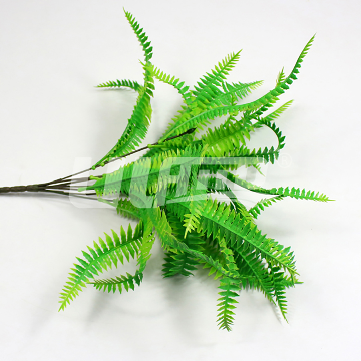 ����ֲ�ﲨ˹��