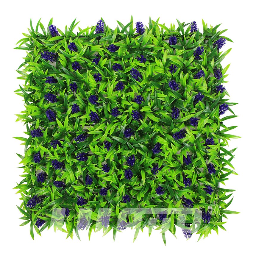 ����ֲ��޹�²�