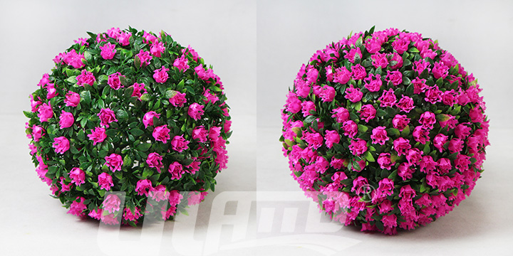 ��ɫ����ֲ����