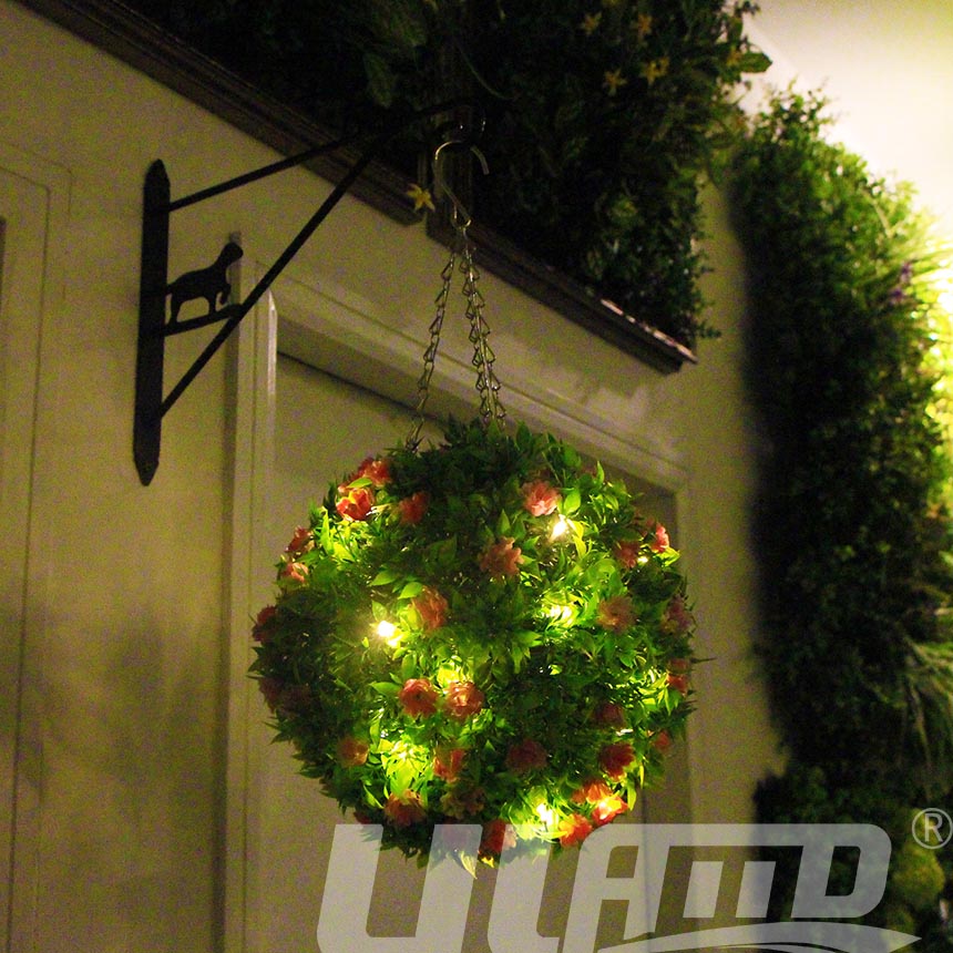 ����ֲ����5