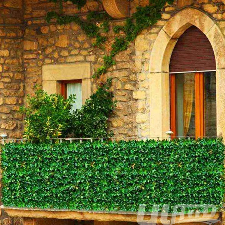 �(y��ng)�_(t��i)ֲ�