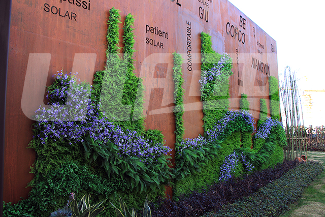 �������ֲ�