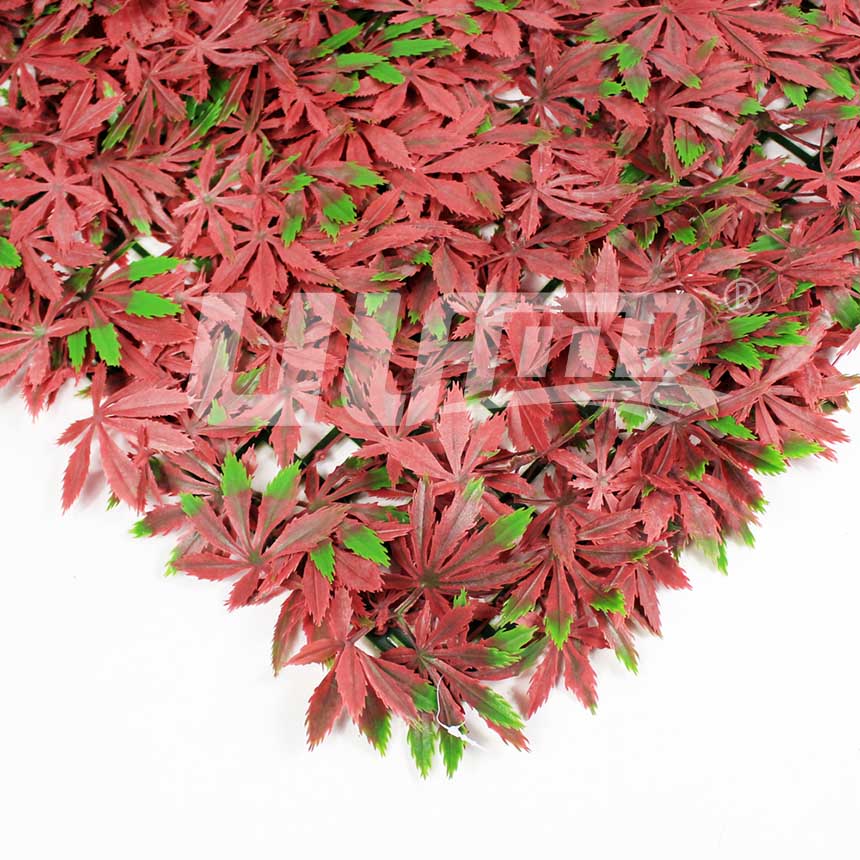 ����ֲ��t���~