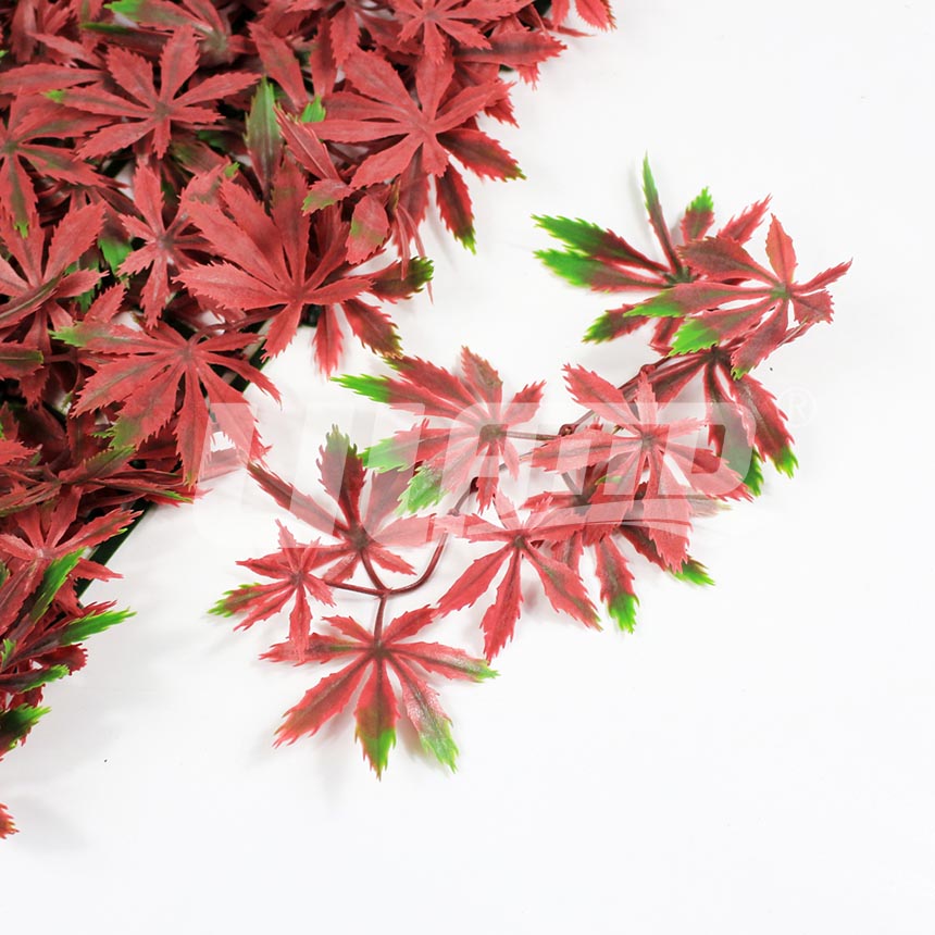 ����ֲ��t���~�����D