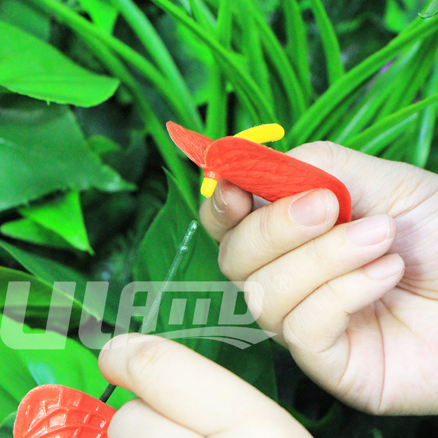 ����ֲ��t�Ƽ�(x��)��(ji��)�D