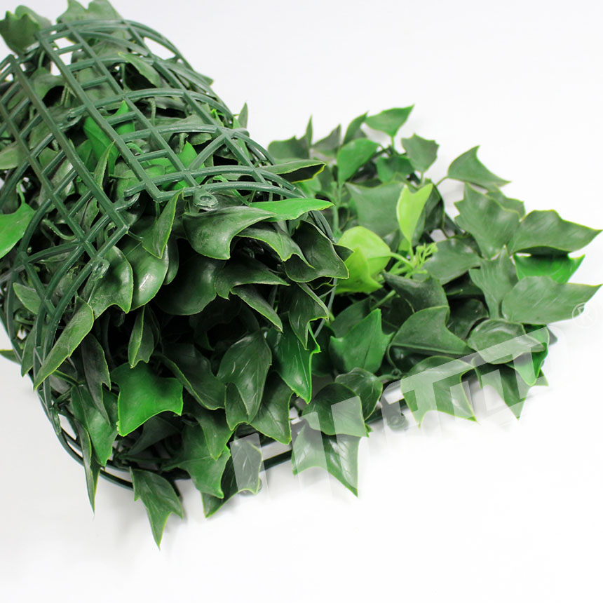 ����ֲ��A015