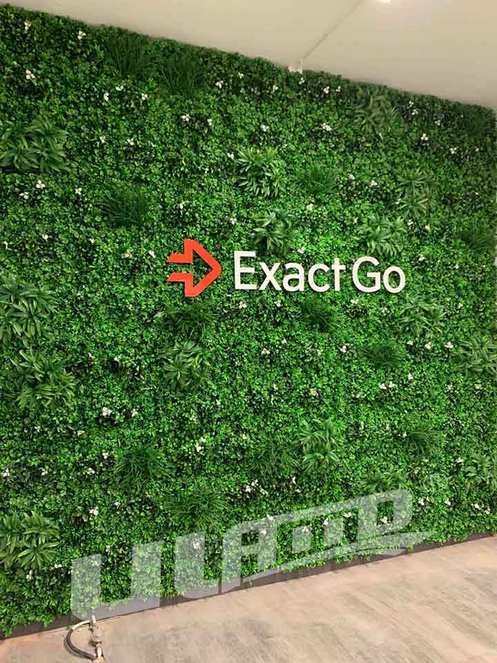 �҃ȷ���ֲ�