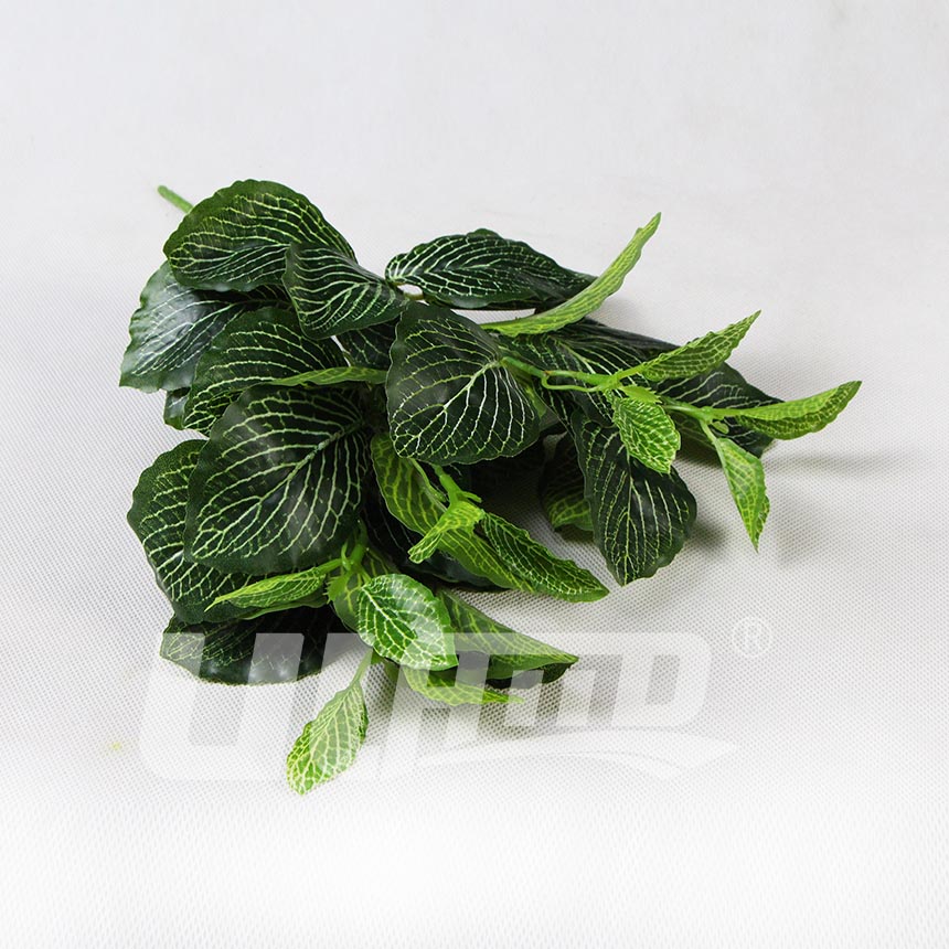 ����ֲ��W�y��