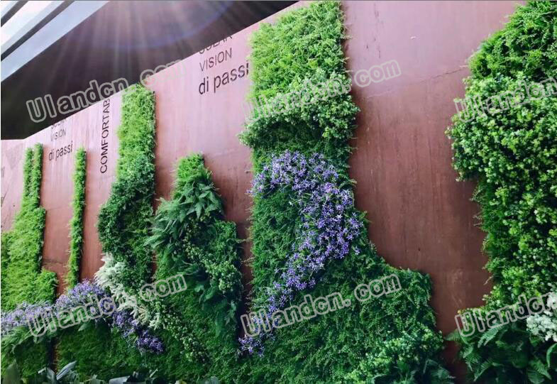 ����ֲ�