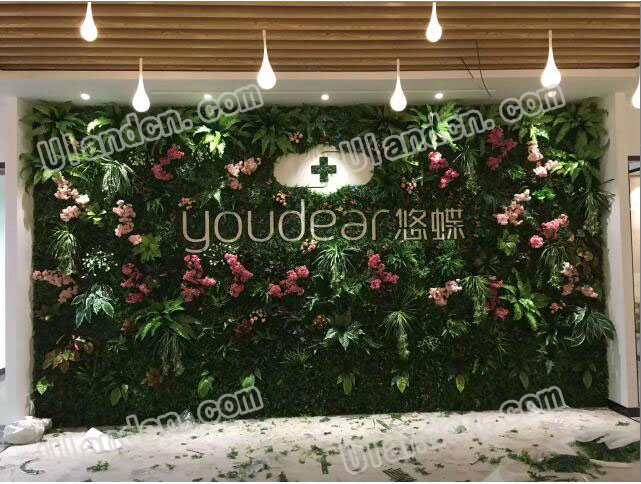 ����ֲ�