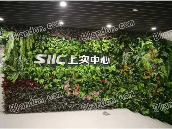 ����ֲ�