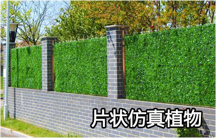 Ƭ�����ֲ��