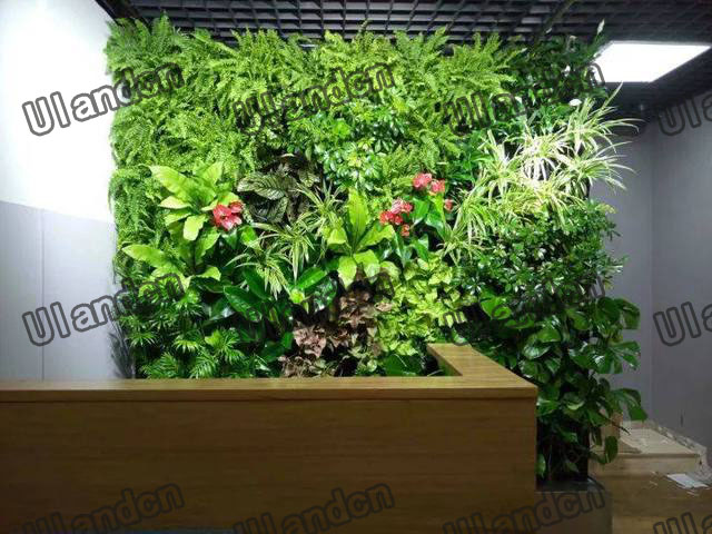 �k��ǰ�_(t��i)�ķ���ֲ��b�