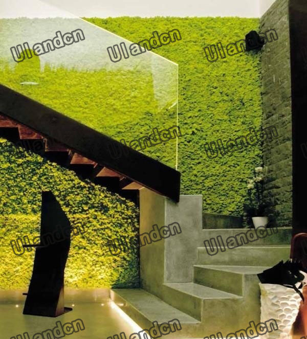 ����ֲ�-�Ƶ��b�