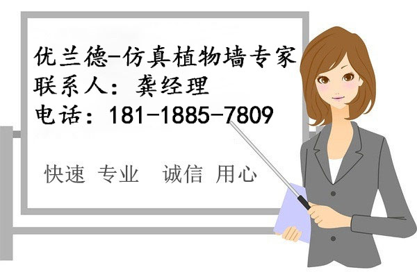 ��(y��u)�m��-����ֲ�����