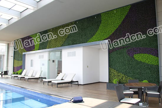 ��(y��u)�m�·���ֲ�