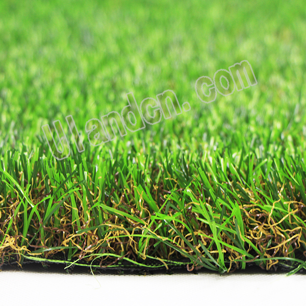 ���m�·����ƺ