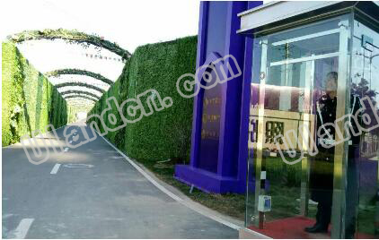 ���m�·���ֲ�