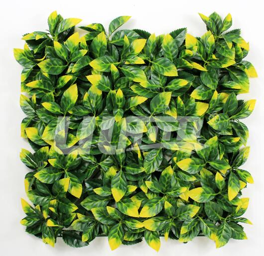 ���X���~-����ֲ��