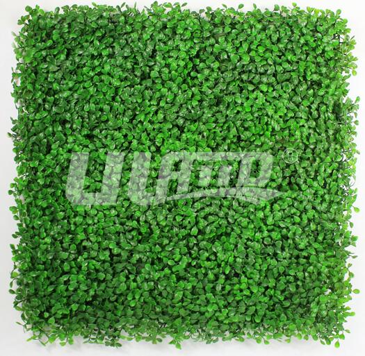 ���m��G-����ֲ��