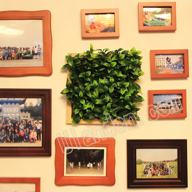 ��(y��u)�m��Ulandcn������ֲ�������