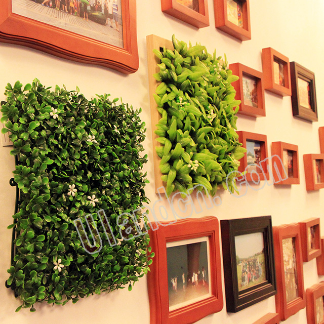 ��(y��u)�m��Ulandcn������ֲ�������