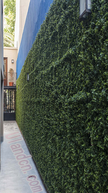 ���m��Ulandcn������ֲ����ң�