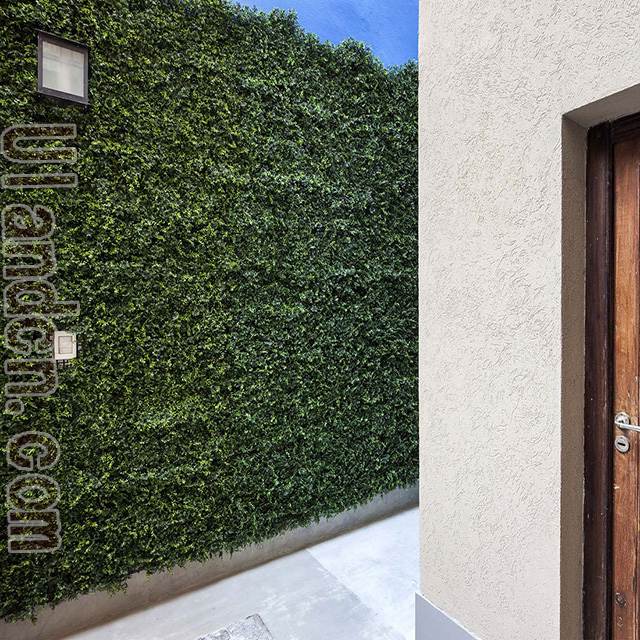 ���m��Ulandcn������ֲ����ң�