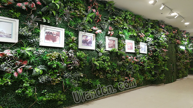 ��(y��u)�m��Uland������ֲ�������