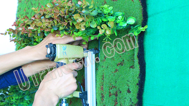 ��(y��u)�m��Uland������ֲ����ң�