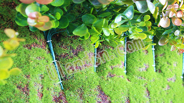 ��(y��u)�m��Uland������ֲ����ң�