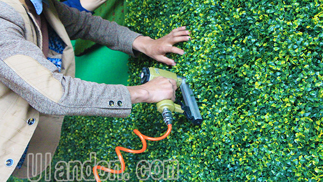 ��(y��u)�m��Uland������ֲ����ң�