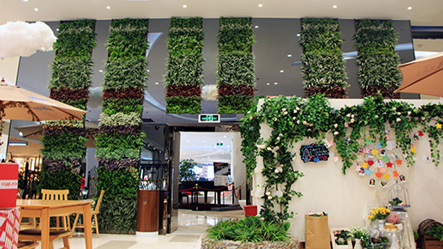 ���m��Ulandcn������ֲ����ң�