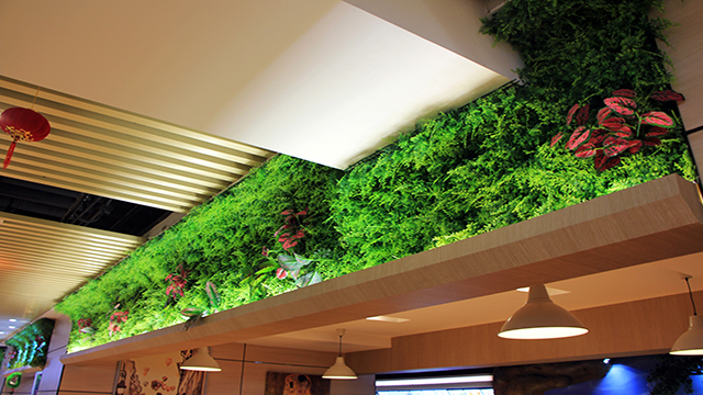 ��(y��u)�m��Ulandcn������ֲ����ң�