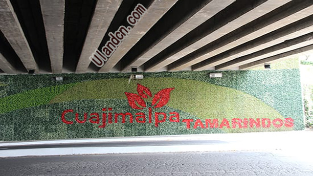 ���m��Uland������ֲ����ң�