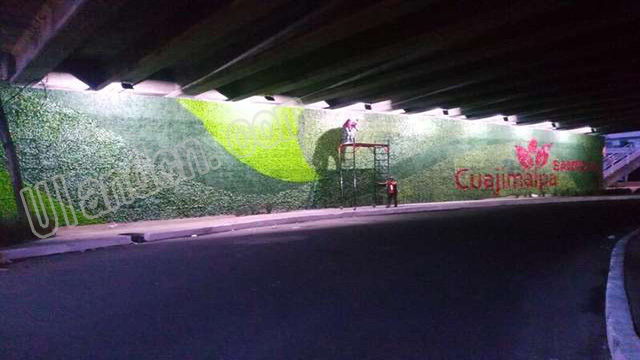 ���m��Uland������ֲ����ң�