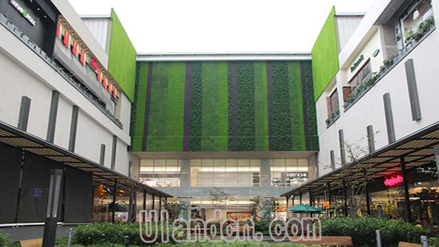 ��(y��u)�m��Ulandcn������ֲ����ң�