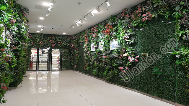 ���m��Uland������ֲ����ң�