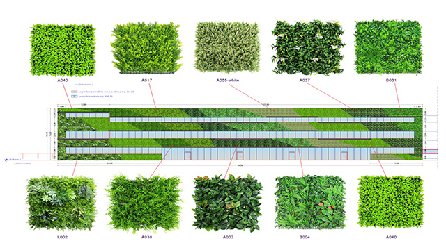 ����ֲ�����-���m��