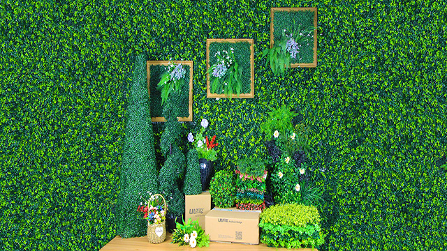 ���m��Ulandcn������ֲ����ң�