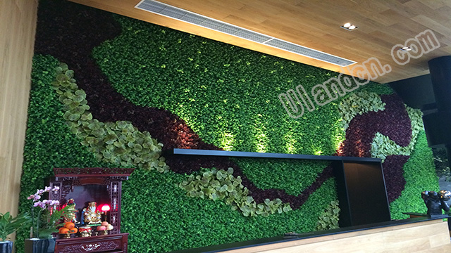 ����ֲ�Ʒ��-���m��