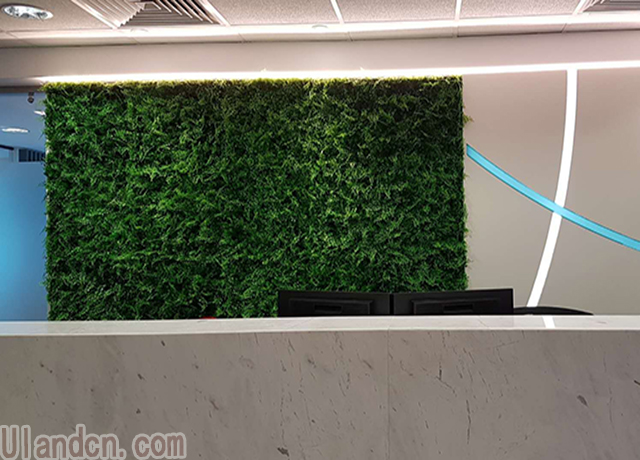 ����ֲ�Ʒ��-���m��