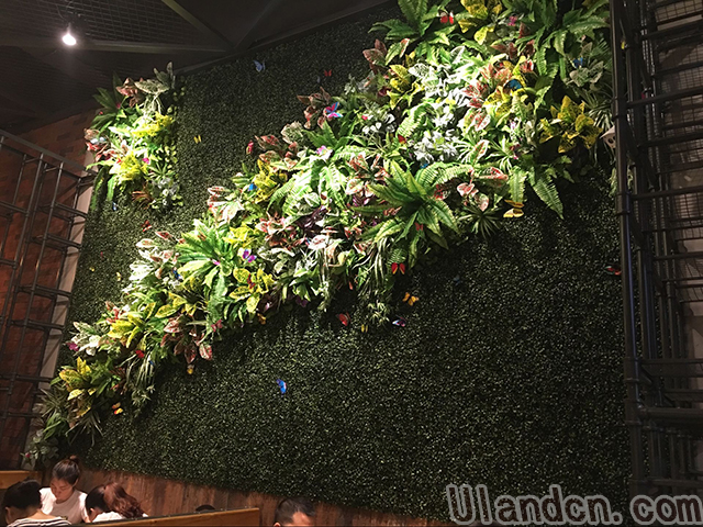 ����ֲ�Ʒ��-���m��