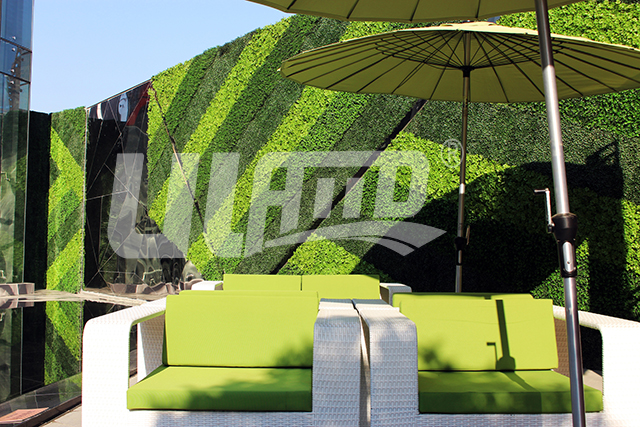 ����ֲ�Ʒ��-��(y��u)�m��