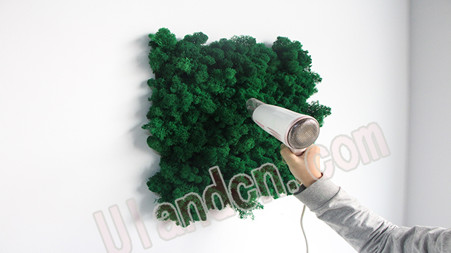 ����̦�\ֲ��B(y��ng)�o(h��)����