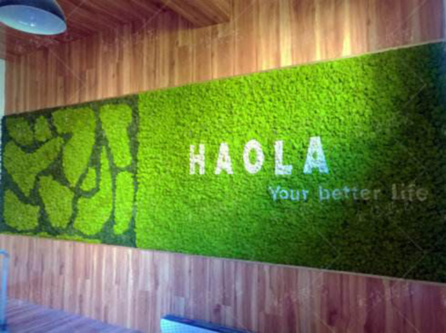 ֲ��logoǶ�ڷ���ֲ���