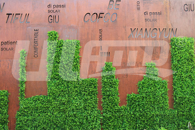 ����ֲ����̰���Ч���D6