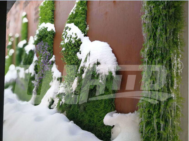 ����ֲ����̰���Ч���D8